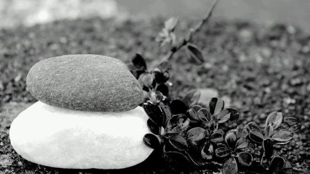 13. Я? Я как плесневой грибок, растущий в мокром углу. Кодо Саваки Роси.