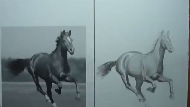 лошадь тон2.avi смотреть онлайн