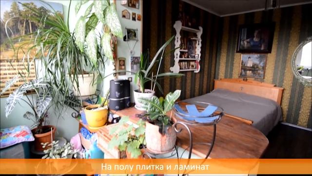 Обзор трехкомнатной квартиры, город Королев смотреть онлайн
