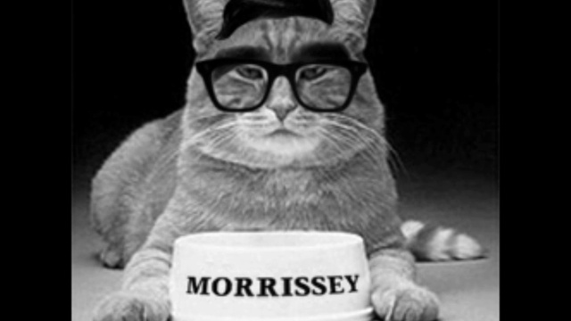 How Soon Is Meow смотреть онлайн