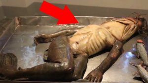 Странные Вещи, Обнаруженные в Необычных Местах