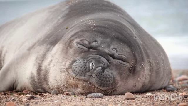 Музыка для сна, Релакс,музыка для души,музыка для себя,музыка для спокойствия