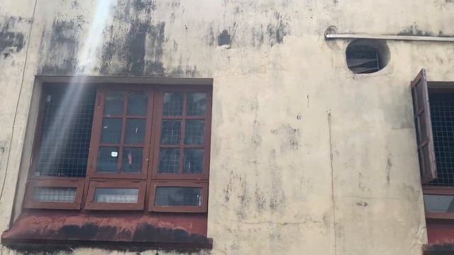 Шри-Ланка. Всё о путешествии на поезде. Поездка в Галле. Прогулка по Алутгама. смотреть онлайн
