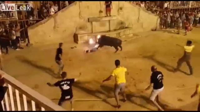 Жесть! Разъярённый бык изувечил.№6 смотреть онлайн