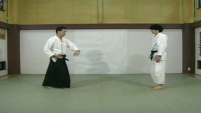 Дайто рю айкидзюцу. Уровень айки-но дзюцу