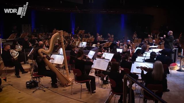 John Williams - Hedwig’s Theme (Harry Potter) | WDR Funkhausorchester смотреть онлайн