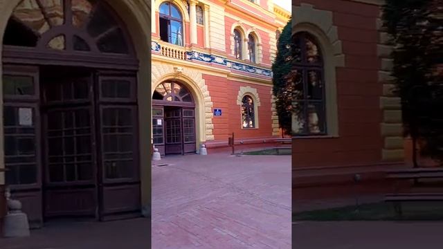СОМБОР. Сербия. Получили ВНЖ. Слава Сербии!??❤️ смотреть онлайн