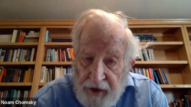 Noam Chomsky: Coronavirus — What Is At Stake? | DiEM25 TV