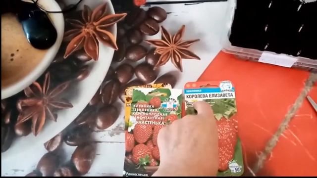 Посев КЛУБНИКИ на РАССАДУ " КОРОЛЕВА ЕЛИЗАВЕТА". "НАСТЕНЬКА F1". "МЕДОВОЕ ЛЕТО." 09.02.2021г. смотреть онлайн