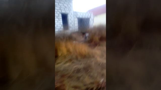 Я приду туда смотреть онлайн