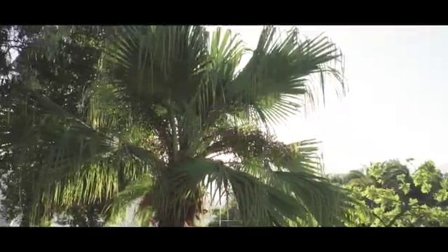 Igor Latti& Igor Latyshko - наше лето смотреть онлайн