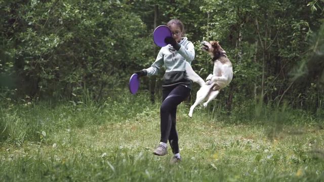 Йоркширские терьеры Юкас и Юта и команда FreezeBeast смотреть онлайн