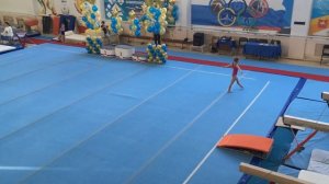 Соревнования по спортивной гимнастике / 1 юношеский разряд по спортивной гимнастике