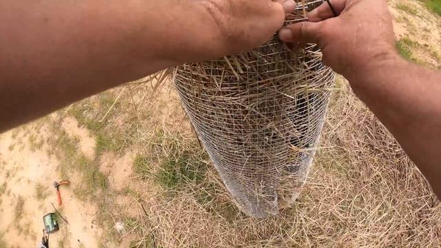 Adding 10,000 Fish to the 5 Acre Pond! смотреть онлайн