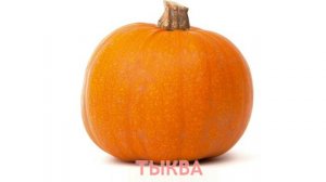 Карточки Домана Часть 8 Овощи!