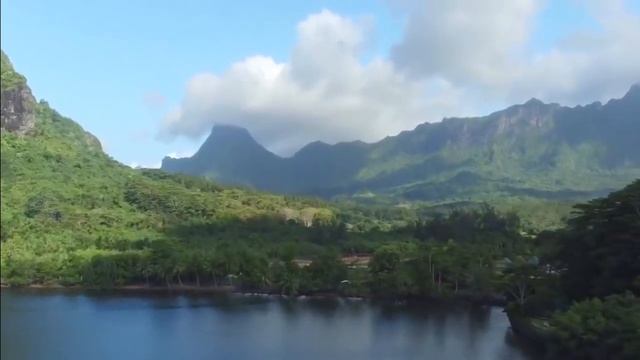 Светоинформация. Благотворительная сессия. смотреть онлайн