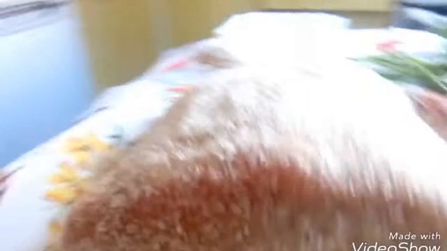 Мясо (свинина вяленая). Очень вкусно, легко и просто. смотреть онлайн