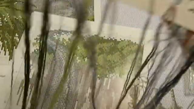 Вышивка крестиком. Очаравательный павлин отчет 1 смотреть онлайн