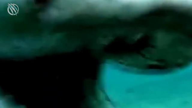 FRILLED SHARK ─ When you Mix a Shark and a Snake you get this "Living Fossil" смотреть онлайн