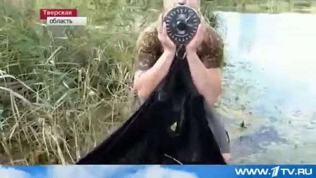 Рыбак поймал белого амура весом 28 кг. The Fisherman Caught A White Cupid Weighing 28 Kg.