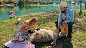 ЖИЗНЬ ОТШЕЛЬНИКОВ В ГОРНОМ АУЛЕ. В горах весна и новые хлопоты! Стрижка овец и ремонт дома. Турция