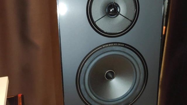 REGA system one смотреть онлайн