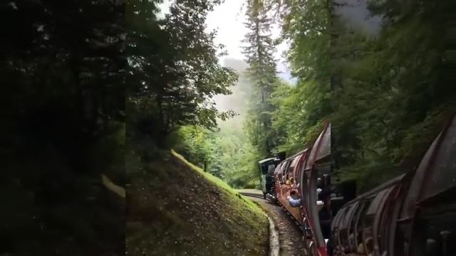 Brienz Rothorn Bahn, Switzerland LoVe NaturE смотреть онлайн