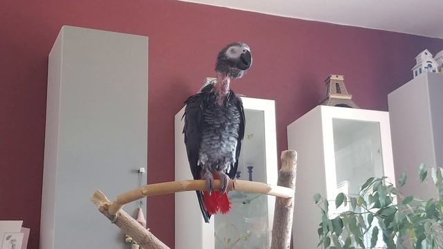 Степан после душа #1 смотреть онлайн