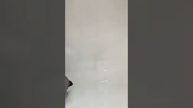 Прогулочная коляска Dearest 718 на сайте Babys.ru смотреть онлайн