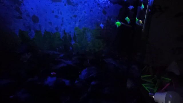 Светодиодная подсветка (лента) в аквариум смотреть онлайн