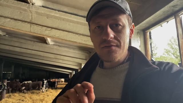 ПОДКОЖНЫЙ ОВОД У КРС И КОЗ. СЛУЧАЙ ИЗ ПРАКТИКИ смотреть онлайн