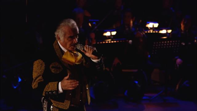 Vicente Fernández - Amor Mío (En Vivo) смотреть онлайн