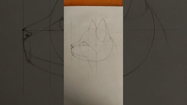 туториал на голову кошки ? простым карандашом✏️. Если тебе понравилось то поставь ? смотреть онлайн