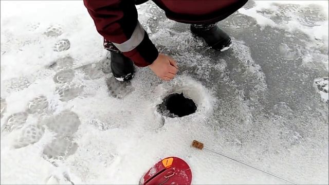 Жерлицы на лесном озере смотреть онлайн