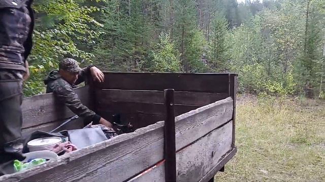 На тракторе в лес смотреть онлайн