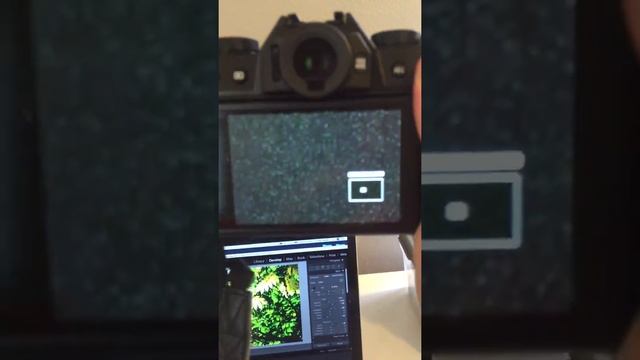 Fuji film X-T20 смотреть онлайн