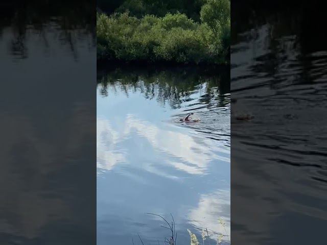 пусть думают, что мы спортсмены смотреть онлайн