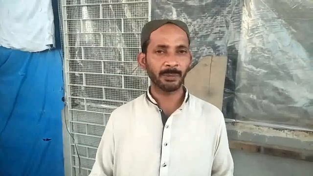 Iqbal Bhai Aviary Visit - Cocktail, Ringneck, Finch, Lutino, Java breeding! смотреть онлайн