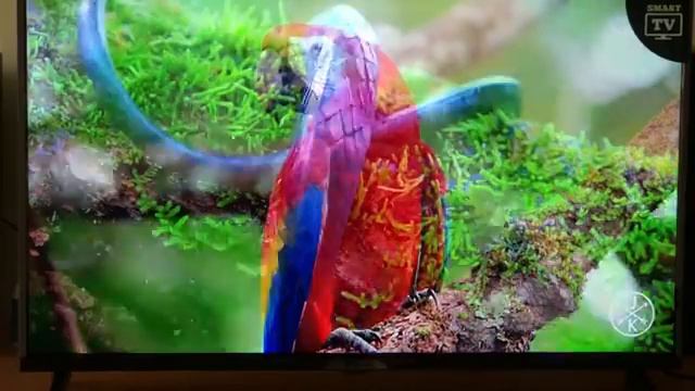 Smart TV Harper смотреть онлайн