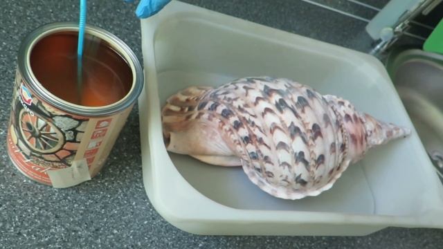 Строительный Рейтинг