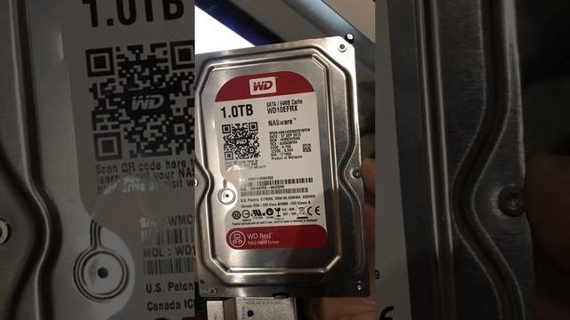 Жёсткий WD смотреть онлайн
