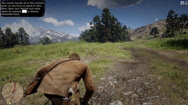 Red Dead Redemption 2 - Part 5: Đi Săn Cùng Hosea смотреть онлайн