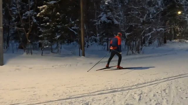 Зимний лес Зеленограда. Где покататься на лыжах в Подмосковье? Лыжная трасса в лесу смотреть онлайн