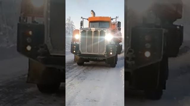 Якутия овце бык ?✌️ смотреть онлайн