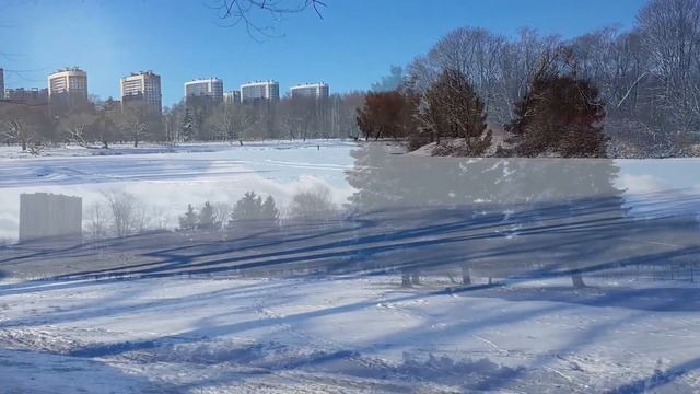Южно-Приморский парк: Утки на пруду, синички у кормушки, небо, солнце и снег! (Красносельский район смотреть онлайн