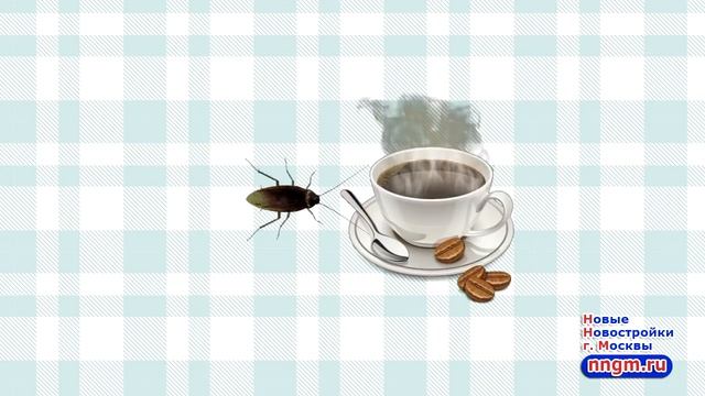 5 натуральных средств от тараканов смотреть онлайн