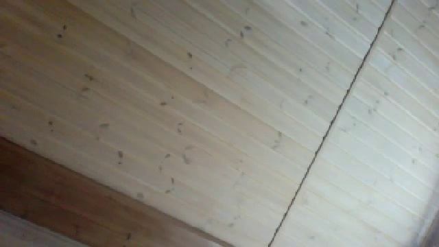 Видео с веб-камеры. Дата: 4 июля 2013 г., 13:12.