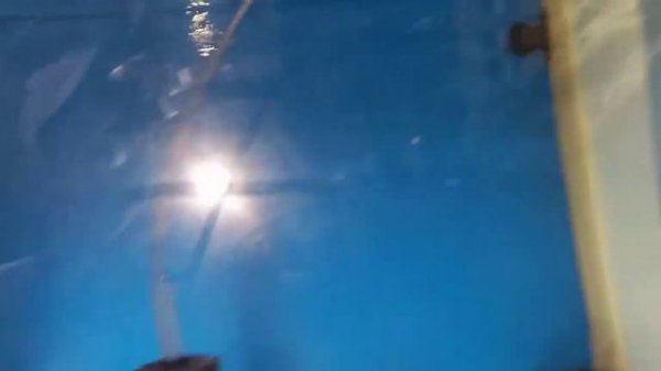 Guppy Vs Flower horn fish