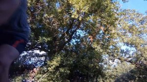 Удочка из палки и пера/Снасть прадеда/Как сделать удочку из палки/Andrey Neretin