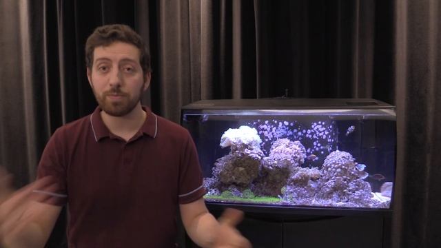 What Light Settings Should I Use? | Fluval Bluetooth LEDs смотреть онлайн